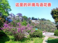 颐善康养护理（苏州）有限公司恺悦养老院环境图片