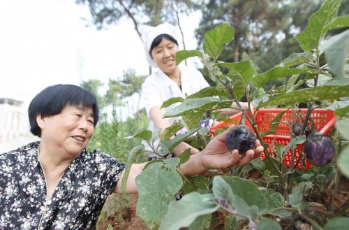 荆门福寿居老年公寓老人图片