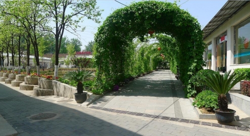 北京市豐臺區康助護養院環境圖片