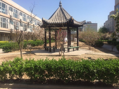 北京市通州区康福星老年公寓环境图片