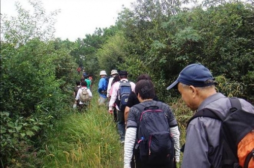 大连海山岛度假酒店老人图片