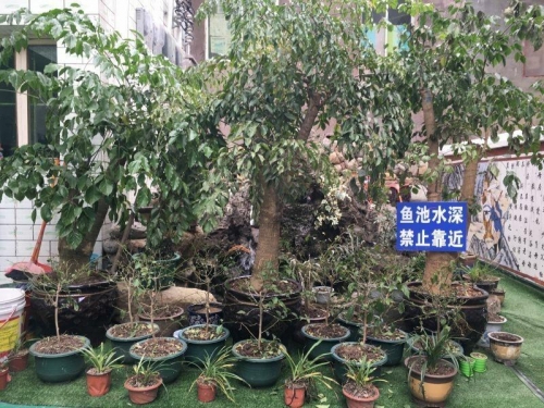 贵阳市天伦敬亲老年公寓环境图片