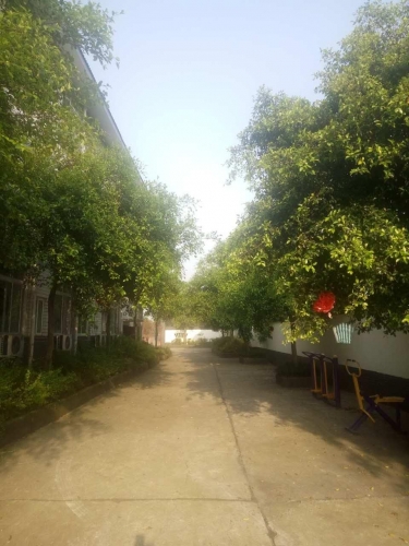 泸州市龙马潭区石洞镇永寿养老院环境图片