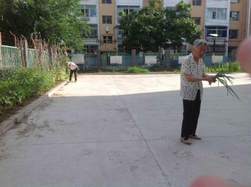 吉林市龙潭区红苹果养老院老人图片
