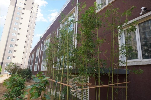 南苑泰和鑫养老康护中心外景图片