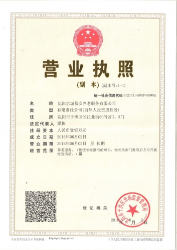沈阳京城易安养老服务有限公司证书图片