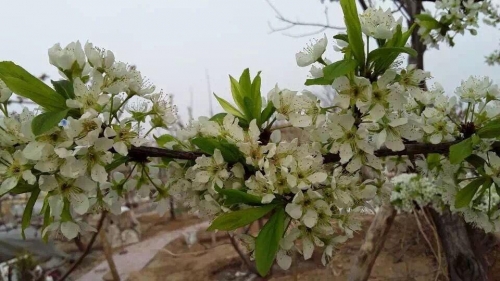 迁安市幸福之家老年公寓环境图片