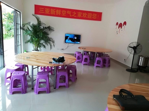 三亚四季海棠养生公寓环境图片