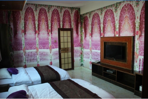 三亚民宿旅租养老度假公寓房间图片