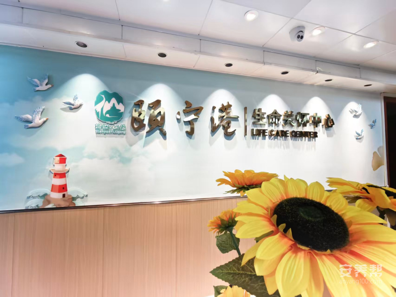 颐宁港
