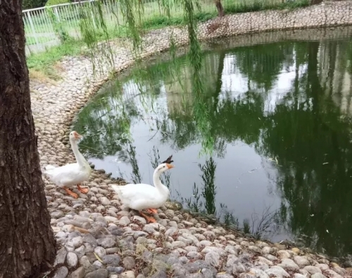 上海金福居敬老院环境图片