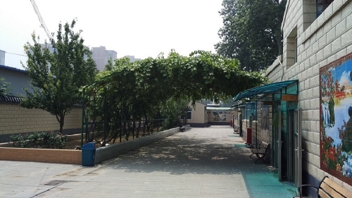 北京市大兴区爱晚老年护养院环境图片