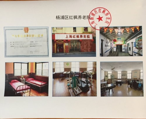 上海红枫养老院证书图片