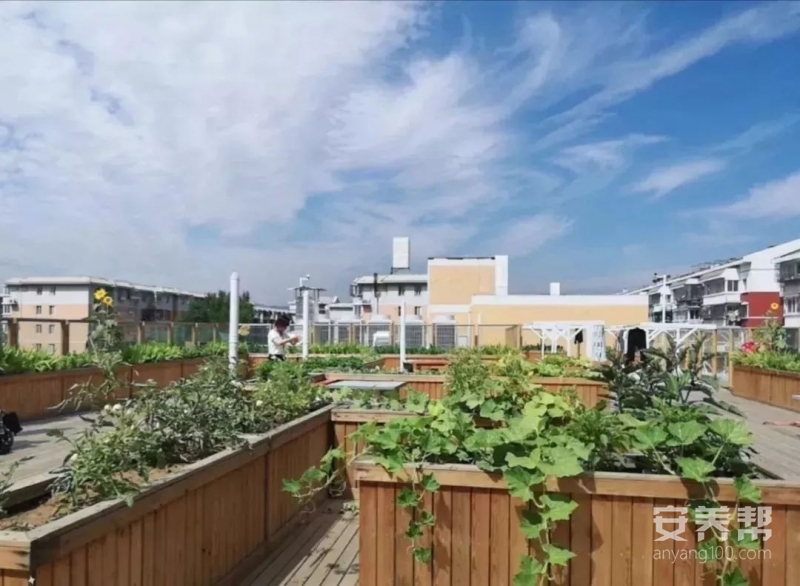 华录·风华上地街道养老照料中心 机构实景