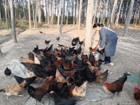 亿鑫福乐源老年公寓图片