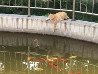 北辰区红光老年公寓环境图片