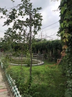 北辰区红光老年公寓外景图片