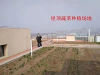 北京市大兴区榆垡镇养老照料中心环境图片