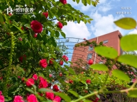 成都养老院新都恒轩养老院外景图片