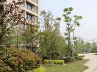 遵义市爱心彩虹养老院外景图片