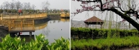 上海金山颐和苑国际养老社区环境图片