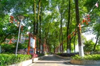 重庆歌乐山康养总院（中颐颐养养老院）环境图片