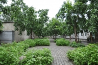 北京市房山区金海老年服务中心环境图片