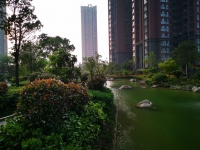 南阳市爱德养老护理院环境图片