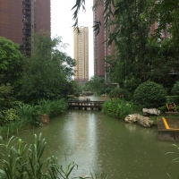 南阳市爱德养老护理院环境图片