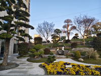 如皋申丞护理院环境图片