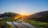 金榜乡村•岳西金榜自然村环境图片