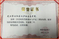 武汉汉阳汉沙医疗特护养老院证书图片
