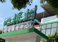 一棵树养老服务中心（广信区旭日街道）外景图片