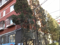 朝阳枣营南里社区养老服务驿站外景图片