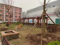 邯郸市安心养老院环境图片