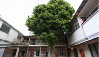 广州市金禧养老院环境图片