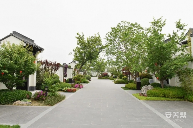 【中颐蓝城·桃花源（中颐龙湖康养小镇）】地址/电话，价格/收费，怎么样(图) - 安养帮