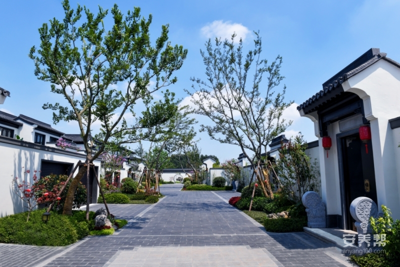 【中颐蓝城·桃花源（中颐龙湖康养小镇）】地址/电话，价格/收费，怎么样(图) - 安养帮