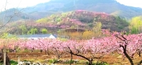 九如城锦绣川康养中心外景图片