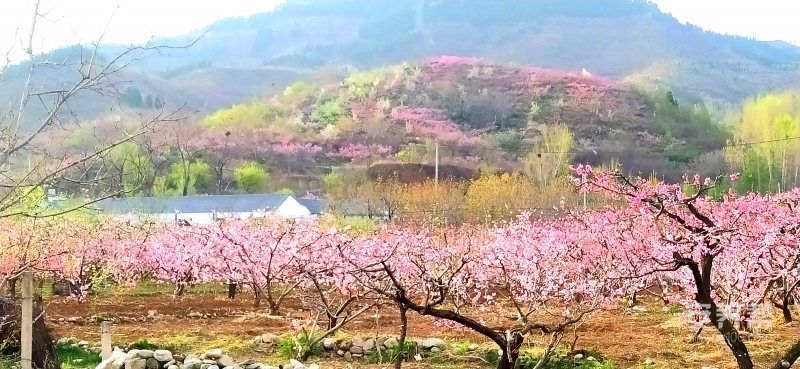 美丽锦绣川，拥抱大自然