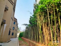 长沙市雨花区润济老年养护院外景图片