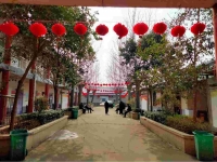 亳州市谯城区龙扬镇养老服务中心设施图片