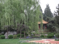 北京康养▪颐寿嘉园环境图片