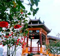 华晟颐养园环境图片