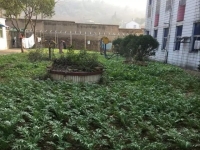 巢湖市椿萱同乐老年公寓环境图片