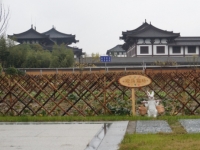 嘉兴大树养老欢乐之家环境图片