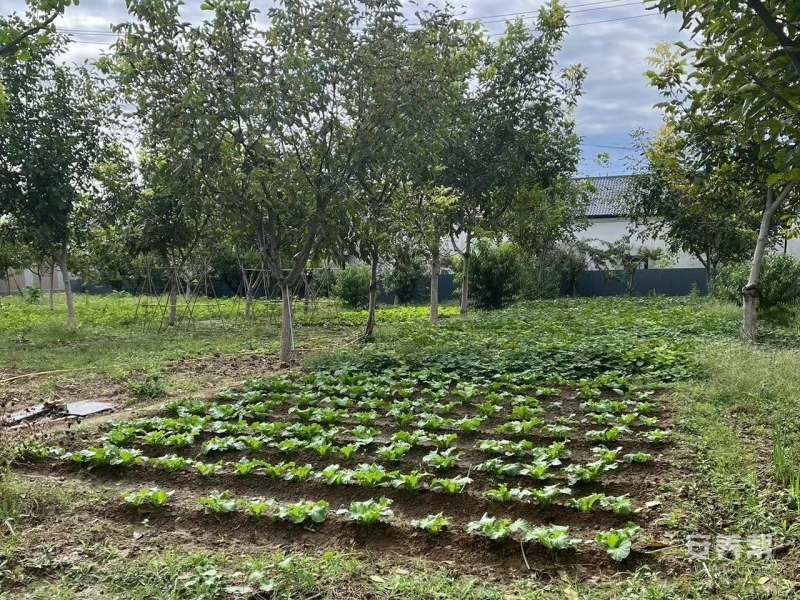 北京市顺义区张镇天天禧养老照料中心 院内生活实拍
