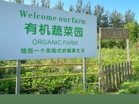 红栌温泉山庄环境图片