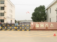 河南福园老年养生服务有限公司南阳颐养度假中心外景图片