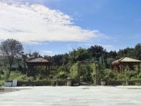 石家庄市新华区老年养护院环境图片